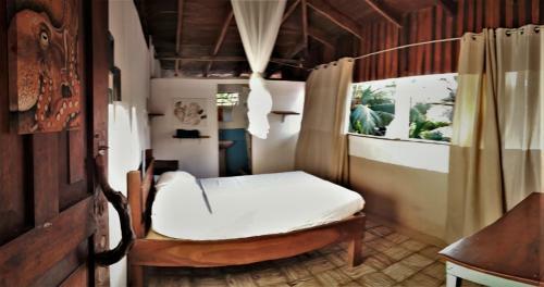 Hostal Surf House Pavones