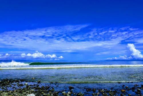 Hostal Surf House Pavones