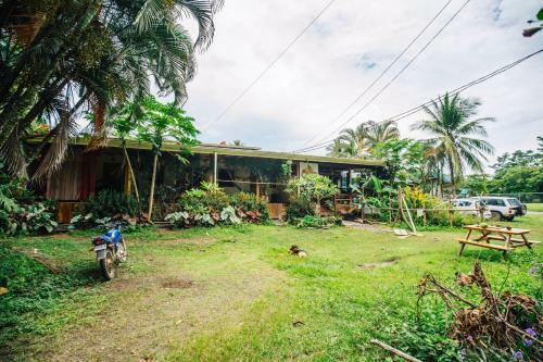 Hostal Surf House Pavones