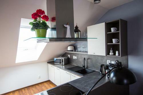 Apartm�ny U Sv. Kry?tofa