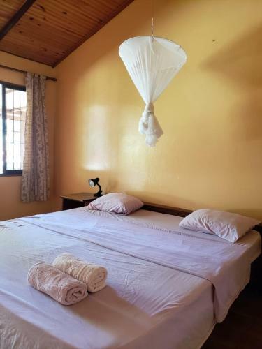 Hotel Rio Cocles Lodge