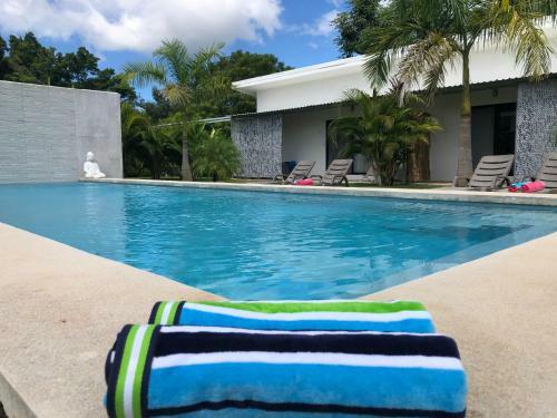 Bed & Breakfast Seahorse Resort Tamarindo