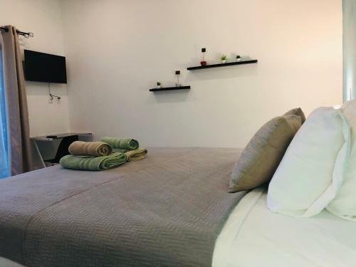 Bed & Breakfast Seahorse Resort Tamarindo