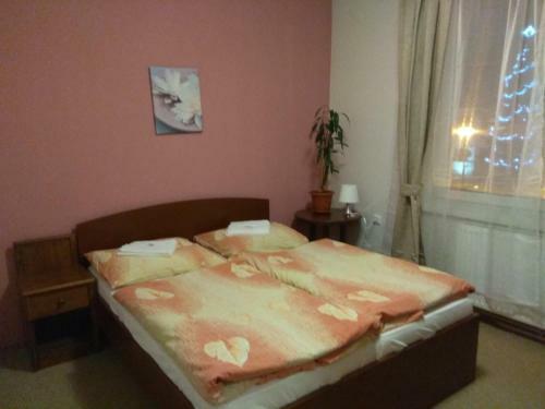 Hotel Lidov� D?m