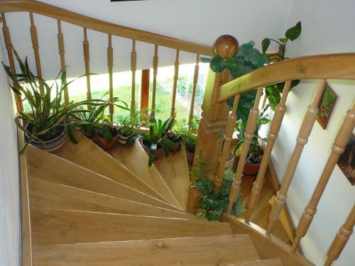 Hostal Apartment V Krkono?�ch