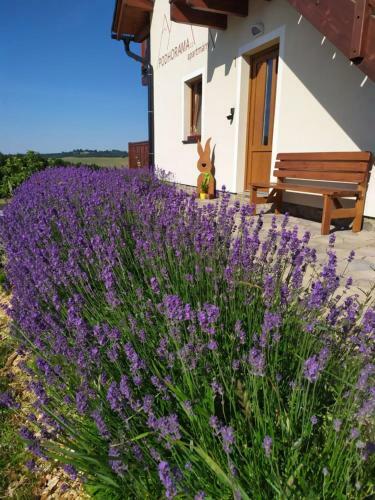 Apartmany Podhorama