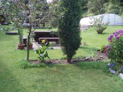 Apartm�n Pod Lesem