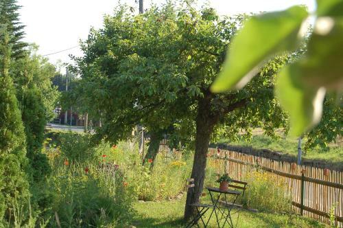 Apartamento Ferienwohnung Katzsteinblick