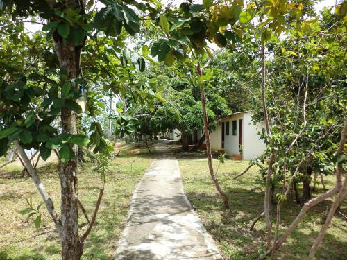 Lodge Anaconda Amazon Island