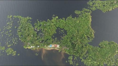 Lodge Anaconda Amazon Island