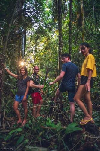 Lodge Anaconda Amazon Island
