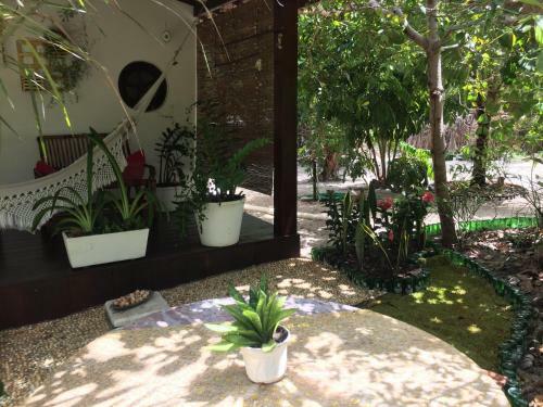 Hostal Pousada Roana
