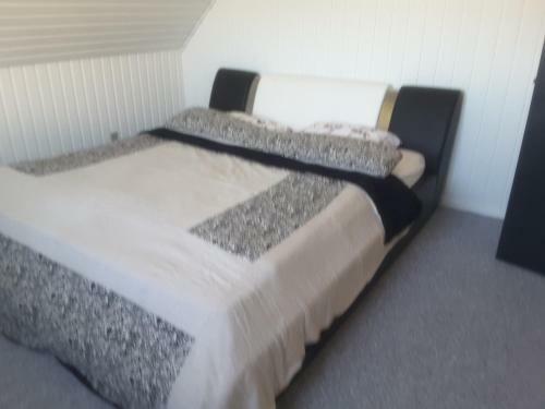 Apartamento Surfers Lounge