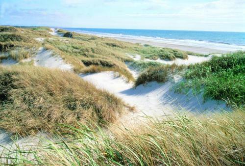 Vejers Family Camping & Cottages
