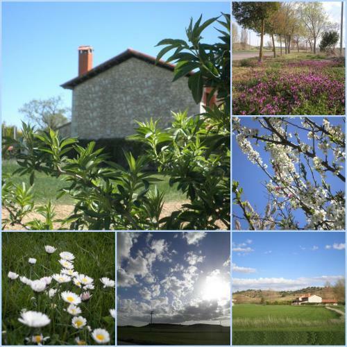 Agroturismo La Finca De Salaverri