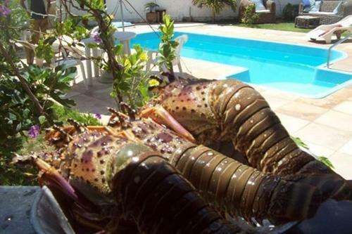 Hostal Pousada A Vida � Bela