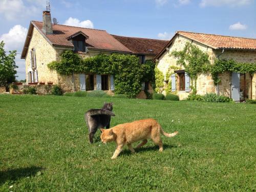 Bed & Breakfast Le Mas