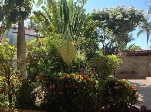 Apartamentos La Piazzetta