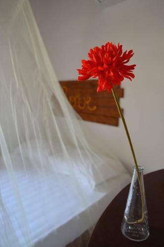 Hostal Pousada Samarkanda