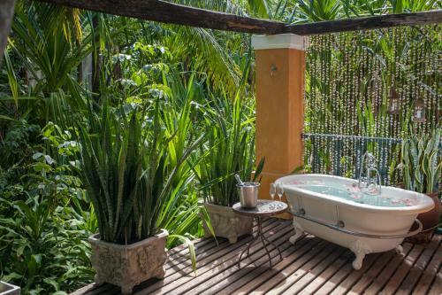 Hostal Pousada Toca Da Coruja