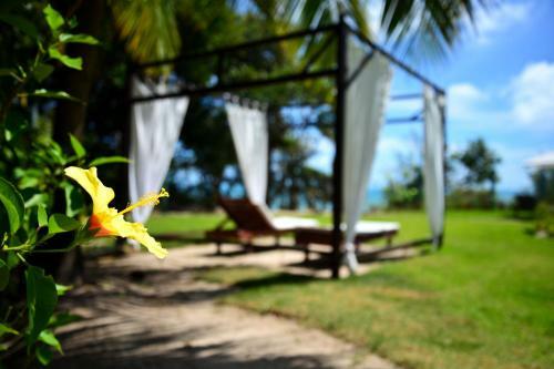 Hostal Pousada Enseada Dos Golfinhos