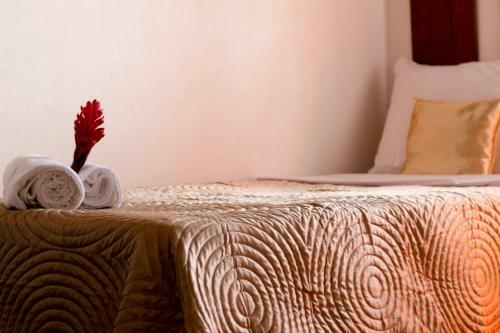 Hostal Pousada Sol E Luna