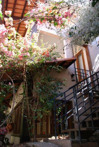 Hostal Pousada Casa Das Flores