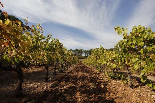 Bed & Breakfast Domaine De Fauveris