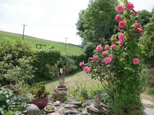 Garden Cottage, Bideford