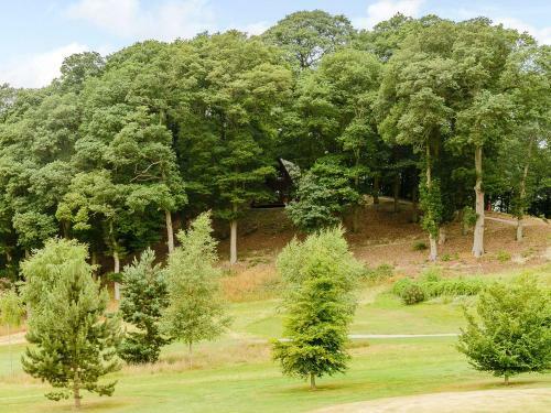 Hollies Lodge