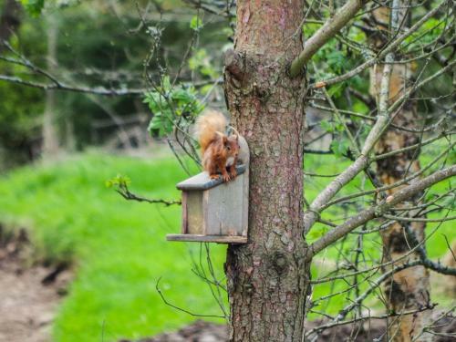 Woodside, Blairgowrie
