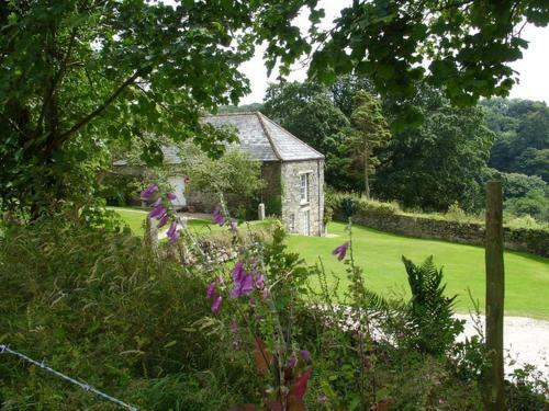 Harry, Bodmin