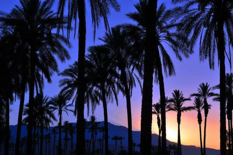 Hotel Best Western Inn At Palm Springs