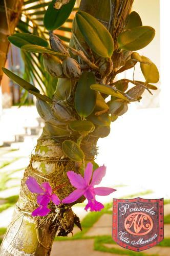 Hostal Pousada Villa Mariana