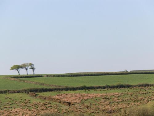 Higher Forda, Holsworthy