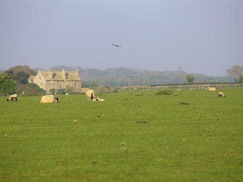 The Old Oak Tree Barn, Burford