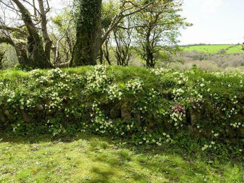 Old Mill Cottage, Camelford