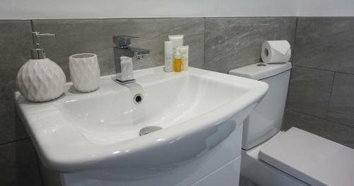 The Lovell Apartment