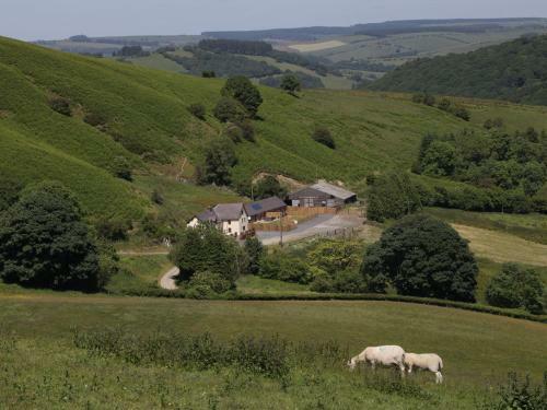 Maesgwyn, Knighton