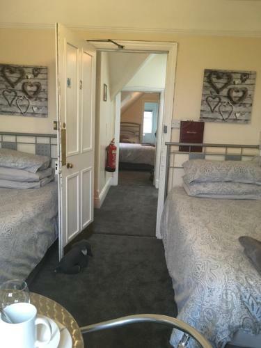 Hostal The Oak Tree Guest House