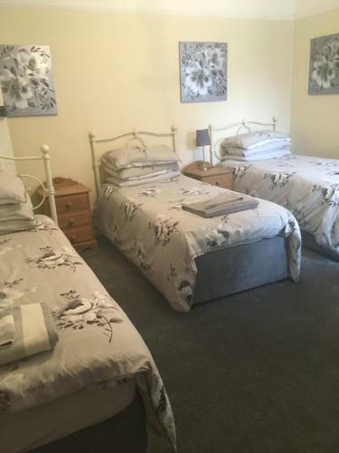 Hostal The Oak Tree Guest House