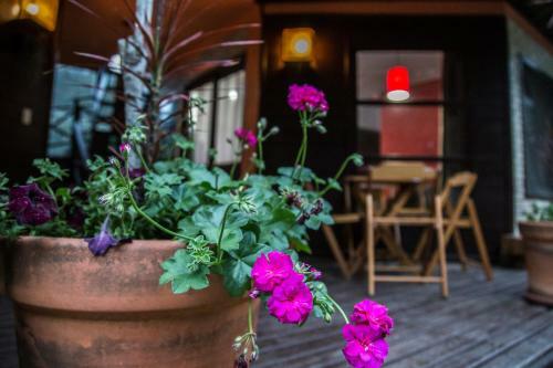 Hostal Morada Trilha Da Guarda