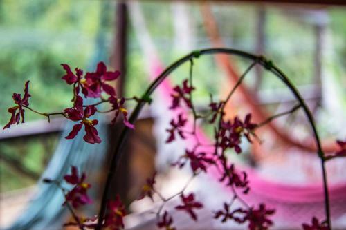 Hostal Morada Trilha Da Guarda