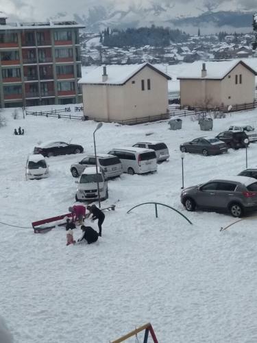 Posada Mziuri Veli