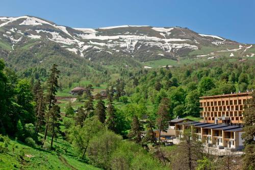 Orbi Bakuriani Aparthotel 905