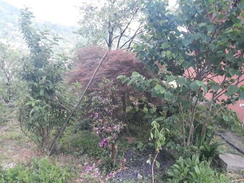 Agroturismo Guest House Suliko