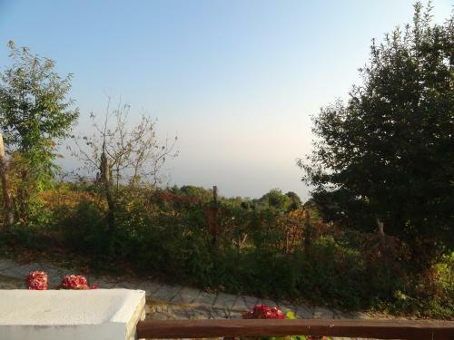 Apartamento Villa Enallaxis