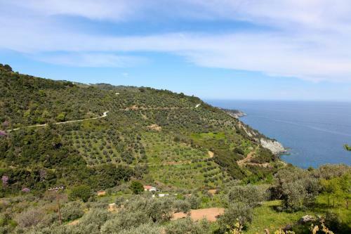 Villa Rose