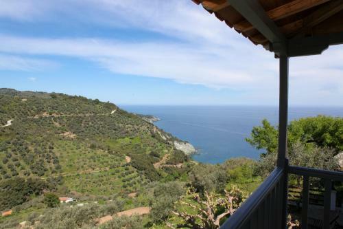 Villa Rose