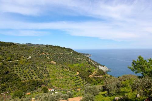 Villa Rose
